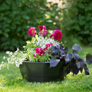 Växttråg Blomsterbo med underbevattning 10 liter Biolan