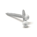 Ankarskruv vit lackerad C4 utomhus 4,8 x 40 mm 100-pack FAST