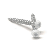 Ankarskruv vit lackerad C4 utomhus 4,8 x 40 mm 100-pack FAST