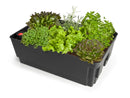 Planteringslåda med underbevattning 57x36 cm mörkgrå Biolan