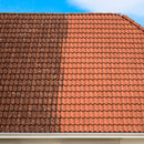 Paket för algborttagning