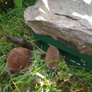 Snigelpaket för effektiv snigelbekämpning